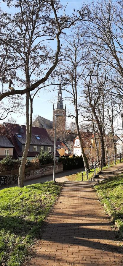 Lutherrose * Lutherstadt Eisleben