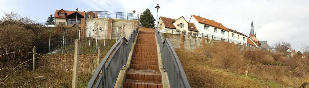 Lutherrose * Lutherstadt Eisleben