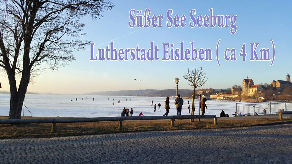Lutherrose Apartment