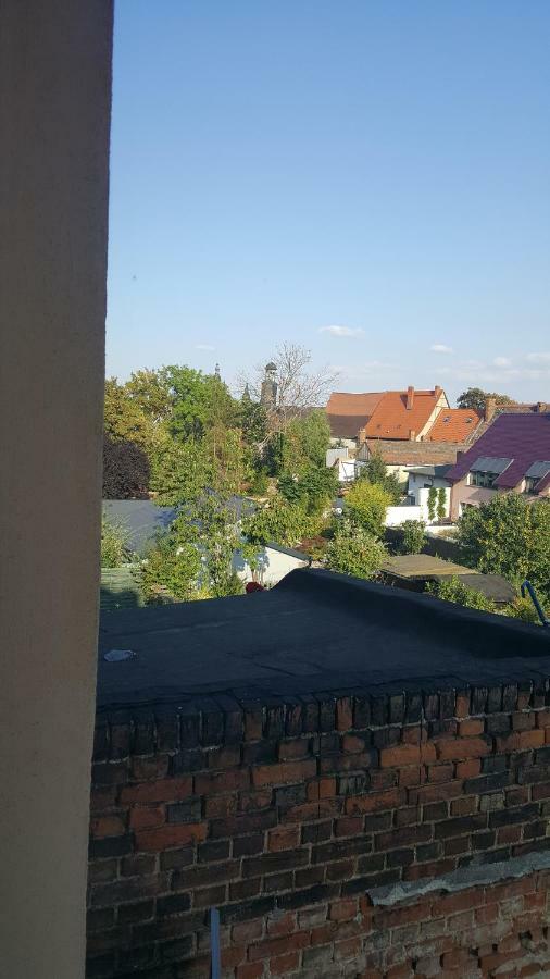 Lutherrose Apartment *